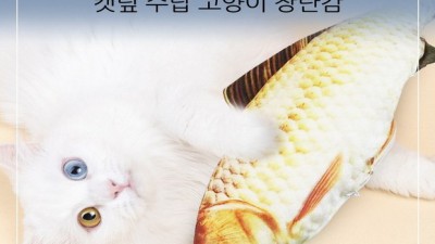 놓치면 후회! 대형생선방석 득템 후기🐟