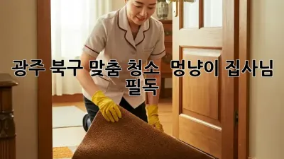 광주 북구 맞춤 청소 ✨ 멍냥이 집사님 필독! 🐾